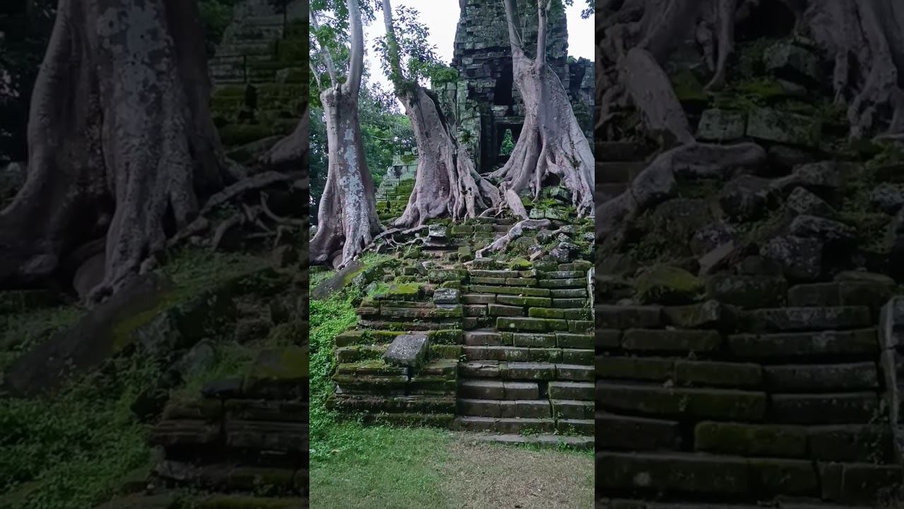 Angkor thom #cambodia смотреть онлайн