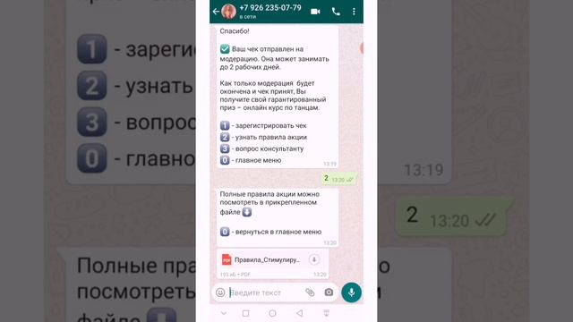 Как с помощью чат-бота в WhatsApp и Viber провести стимулирующее мероприятие. смотреть онлайн