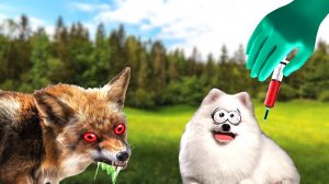 БЕШЕНЫЕ ЛИСЫ! Все срочно на ПРИВИВКИ!!!