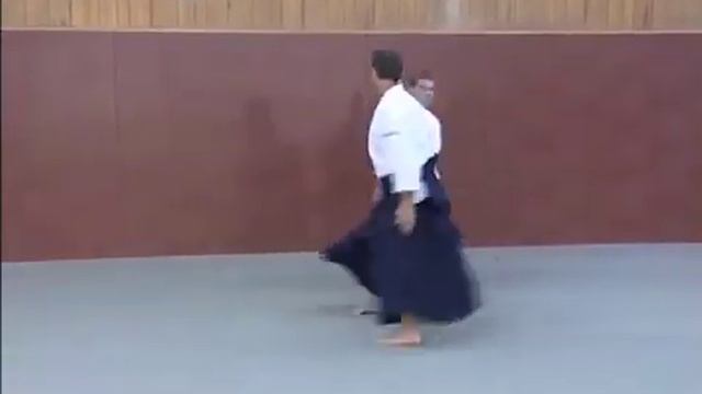 AIKIDO VS Kick смотреть онлайн