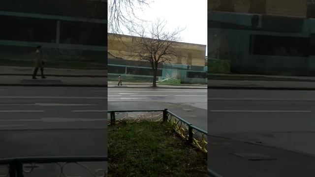Кафе халял смотреть онлайн