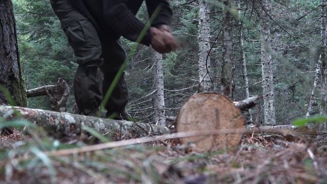 My first big project.A frame Cabin building deep in the forest part-1 смотреть онлайн