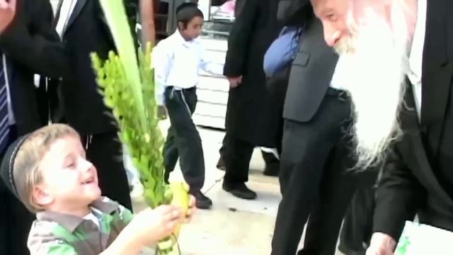 How To Be a Jew: Be Happy смотреть онлайн