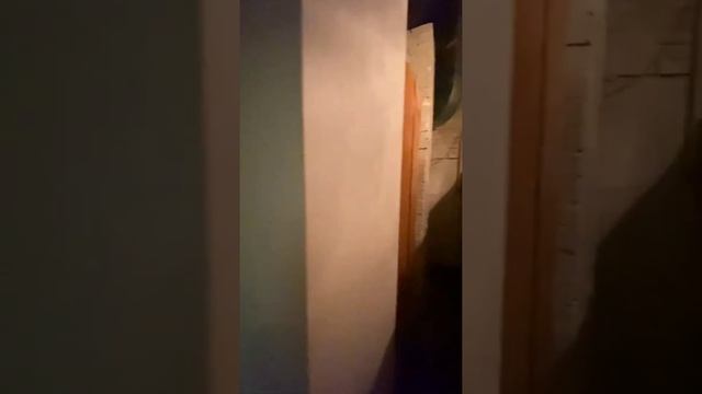 Аренда офиса 177квм , цокольный этаж, Украинский бульвар 6.