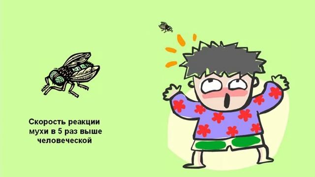 Пространство и время. Философия. Урок 61 смотреть онлайн