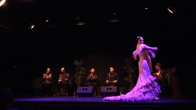 Baile típico de España - FLAMENCO CON BATA DE COLA [4K] смотреть онлайн