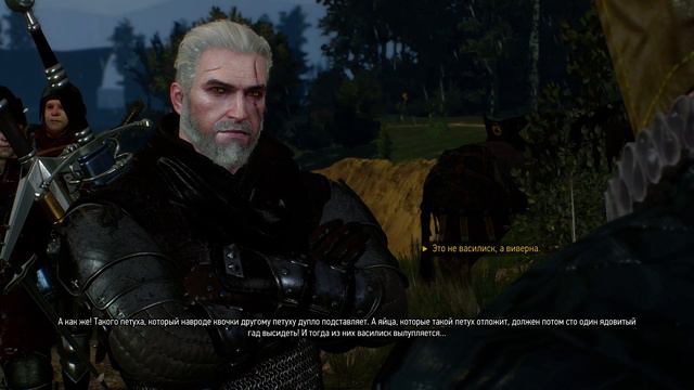 The Witcher 3 Впаривает виверну за василиска смотреть онлайн