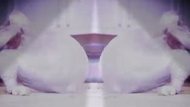 Курица танцует тверк на столе смотреть онлайн