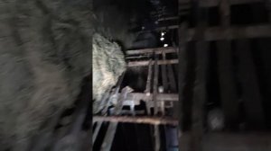 Первые признаки когда кобыла в охоте