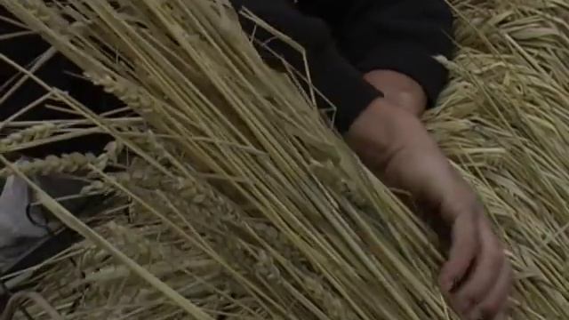 Thatching Part 6 - Work on the Ridge смотреть онлайн