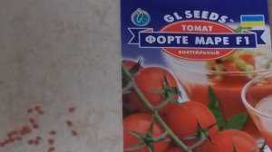 Как проверить семена помидоров на всхожесть! / How to test tomato seeds for germination!