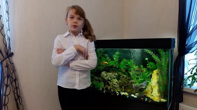 Мателега Анна И А Крылов Волк и кот смотреть онлайн