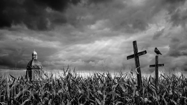 ПИКОВАЯ ДАМА ПРИДИ! Как это было у вас. Страшные истории подписчиков. LyapoTanya