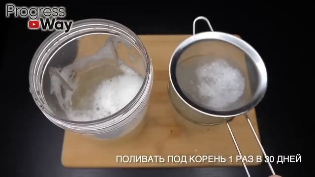 Никогда Не Сажайте Томаты и Перец Без Этого! Рассада крепкая и урожайная в 5 раз выше! 40 Рецепто смотреть онлайн