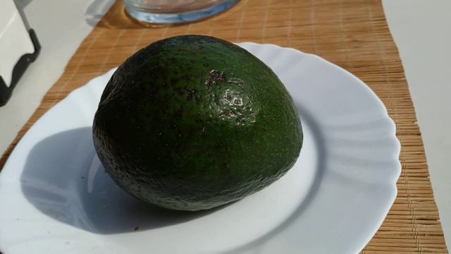 Huge West Indian Avocado (Persea americana var americana) смотреть онлайн