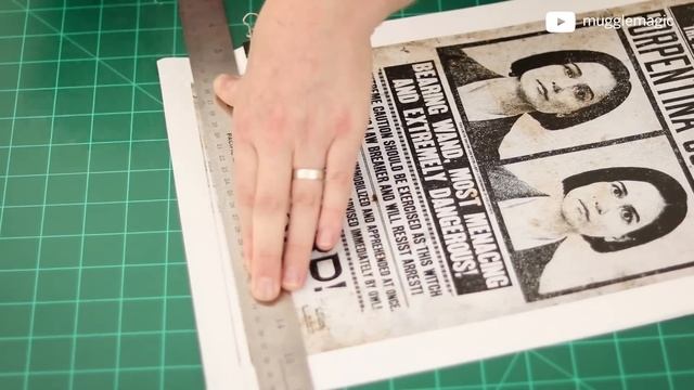 Fantastic Beasts DIY: 12 Wanted Posters - Easy Printables смотреть онлайн