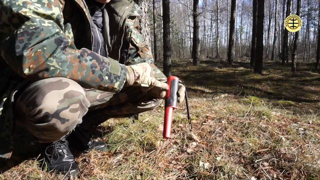 Pinpointer Fisher F-Pulse и золото смотреть онлайн