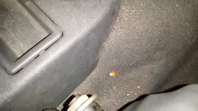 Sterility Optima - Opel Combo 1.3