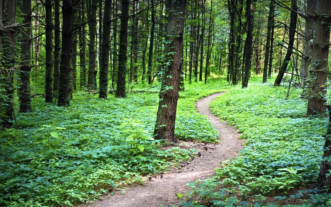 Стихи. Роберт Рождественский. Человеку надо мало. Жизнь. Стихи о жизни.