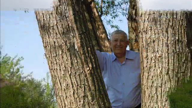 Поле, русское поле....wmv смотреть онлайн