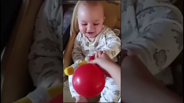 Видео,приколы,юмор,смех смотреть онлайн