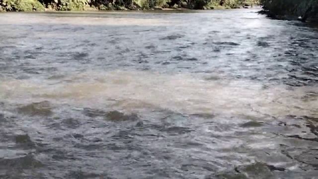 Расслабляющая дзен-музыка со звуками воды,музыка для сна!! хвойное средство от стресса, река природ смотреть онлайн