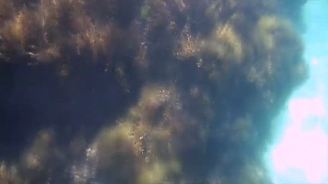 Севастополь Фиолент Пляж Баунти смотреть онлайн