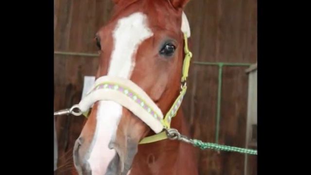 I'm better so much better now♥' смотреть онлайн