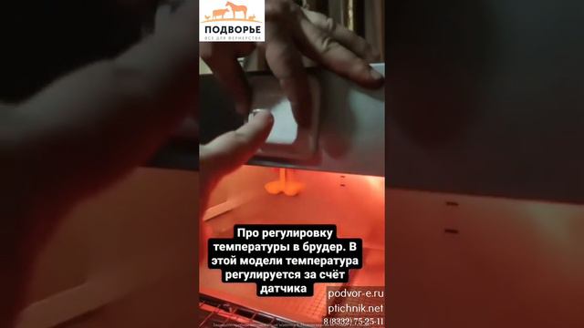 Брудер Ани смотреть онлайн