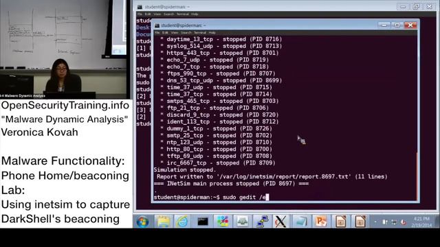 Dynamic Malware Analysis D2P20 Malware Functionality Phone Home Lab DarkShell смотреть онлайн