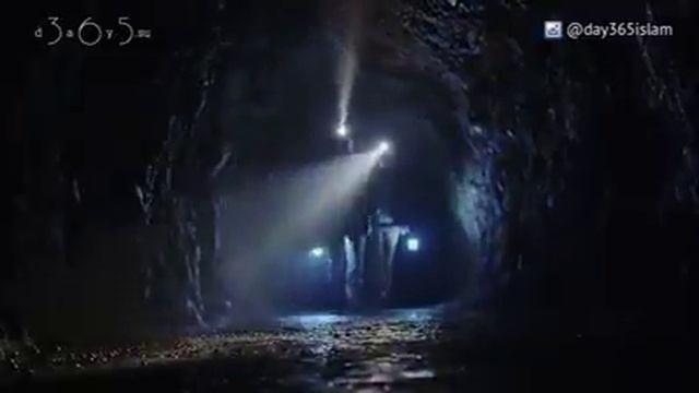 Смысл всей жизни на земле( The meaning of life on earth) смотреть онлайн