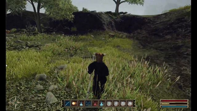 Bring Treslott the Rare Plant Herbaceous Lobelia - Gothic 3 Nemora Quest смотреть онлайн