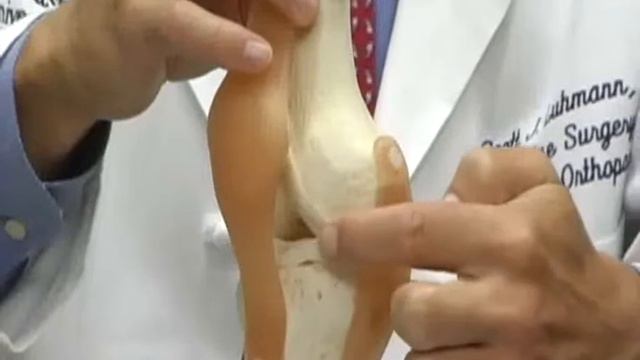 Scott Luhmann, MD, discusses athletic knee injuries- Washington University Orthopedics смотреть онлайн
