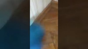 Антиплесень справилась с заданием на 12б