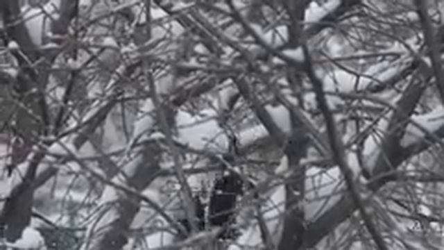 Снег кружится (русская песня) Blackmagic Ursa Mini 4 k slow motion 120fps смотреть онлайн