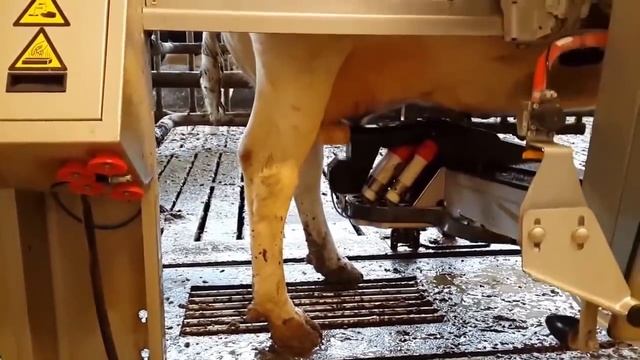 10 ГЕНИАЛЬНЫХ ТЕХНОЛОГИЙ В СЕЛЬСКОМ ХОЗЯЙСТВЕ смотреть онлайн