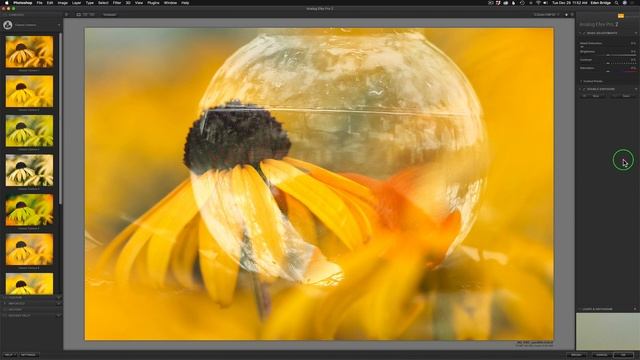 ANALOG EFEX PRO by DXO: Double Exposure Photography Made EASY смотреть онлайн