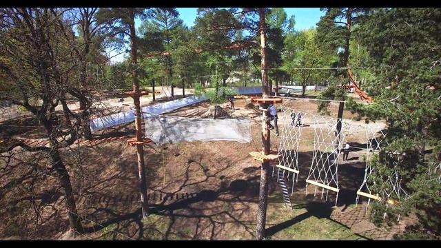 Верёвочный парк TREE TO TREE