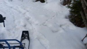 Мини Снегоход Хаски - эксплуатация в охоте!