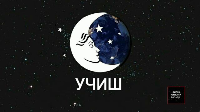 ТУШДА [УЧИШ] КУ́РСА... смотреть онлайн