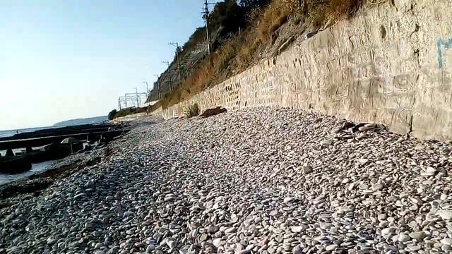 Дедеркой Сентябрь 17.09.20