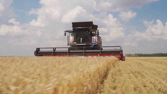 Гибель всходов: как не допустить смотреть онлайн