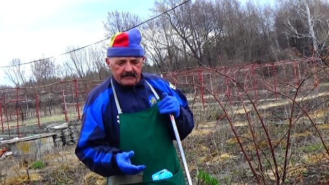 Морковь: наша технология выращивания высокого урожая ! смотреть онлайн