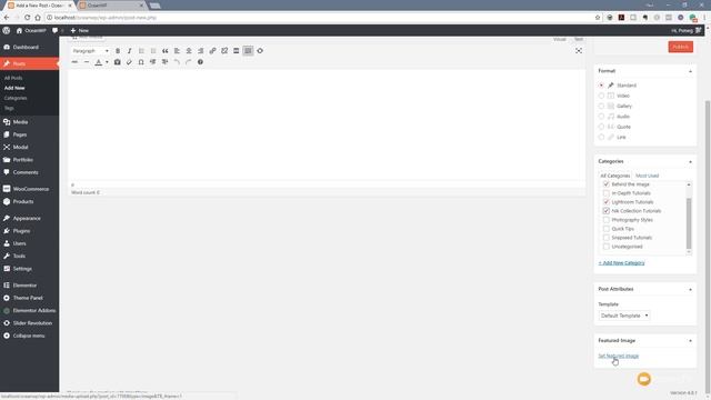 Wordpress for Beginners - Working with Posts смотреть онлайн