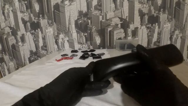 Wahl Stealth Beretto