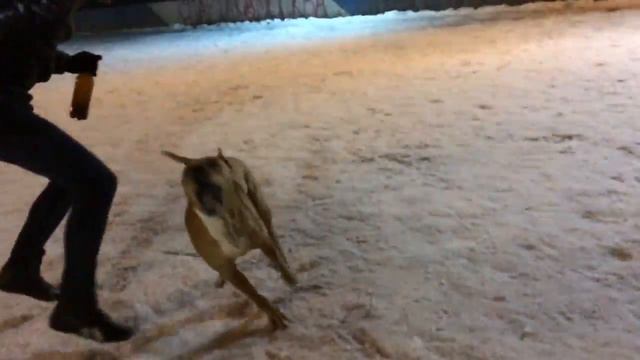 Стаффорд 120fps смотреть онлайн