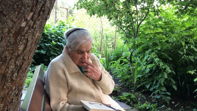 Летний вечер