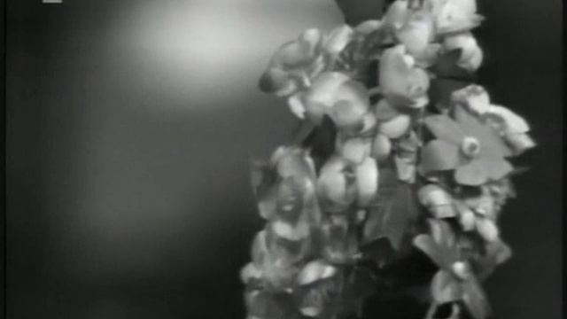 J.B.Foerster - Eva (famous czech opera) - Finale смотреть онлайн