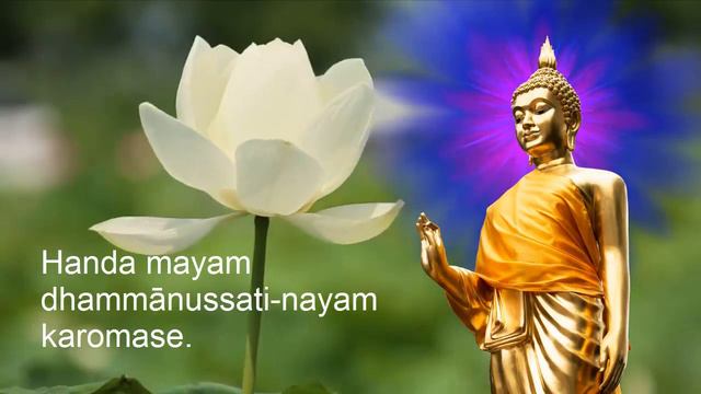 Evening Chanting (Thai), Beautiful Buddhist Chanting | Daily Buddhist Theravada Pali Chanting