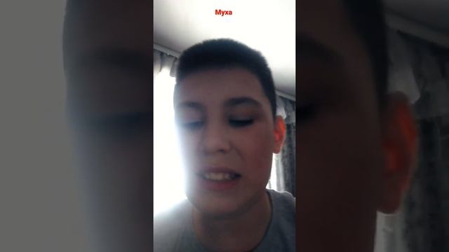 когда муха залетела в дом смотреть онлайн